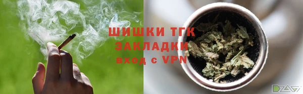 прущие грибы Баксан