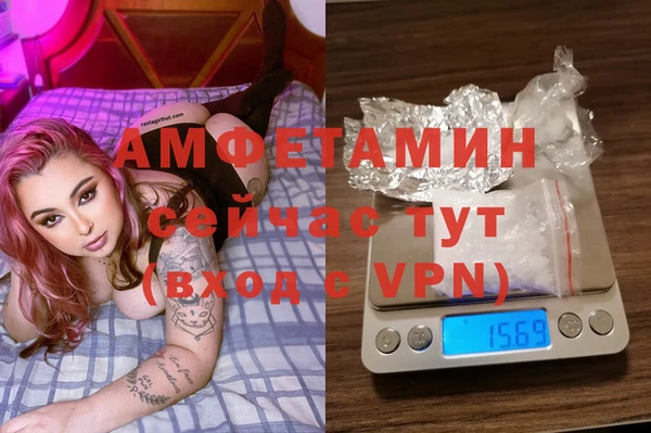прущие грибы Баксан