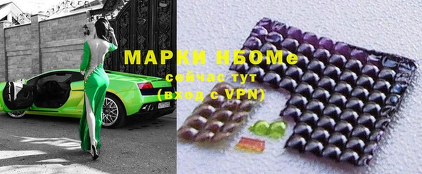 прущие грибы Баксан