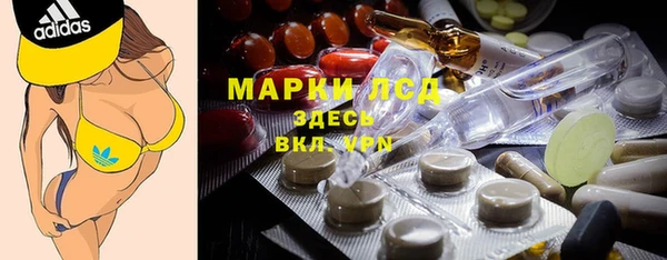 прущие грибы Баксан