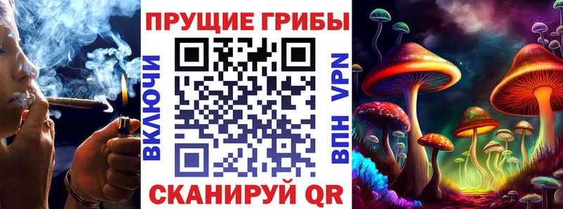 Псилоцибиновые грибы Psilocybe blacksprut зеркало Белозерск купить закладку